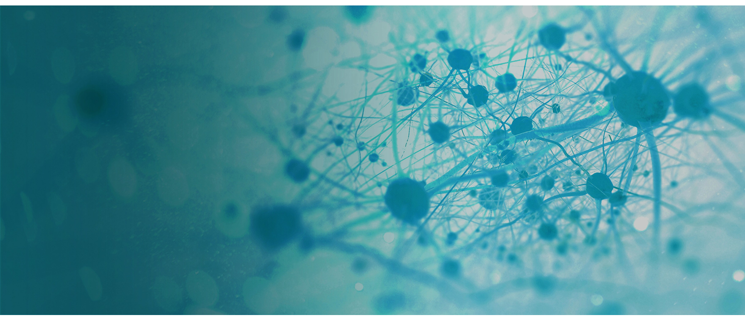 Volume 1, Issue 1, 2025